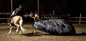 2016,CAVALLO,PIACENZA (5).jpg